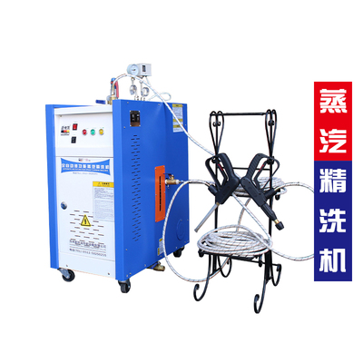 蒸汽精洗机