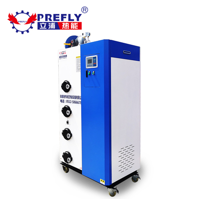 100kg生物质蒸汽发生器